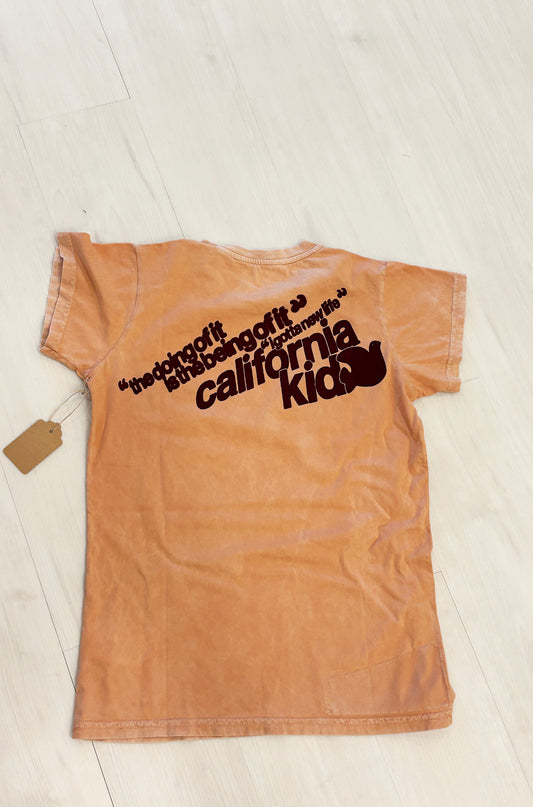 FREECITY I GOTTA NEW LIFE T CANYON POWDER