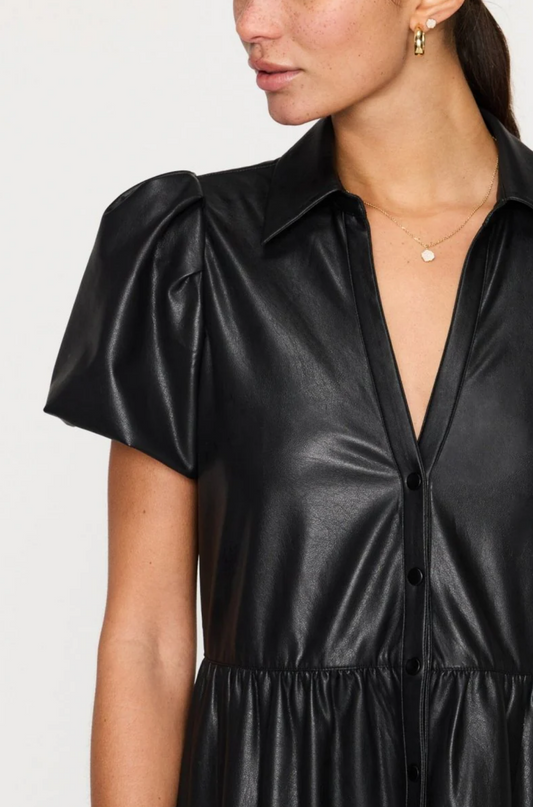 Havana Vegan Leather Dress Long