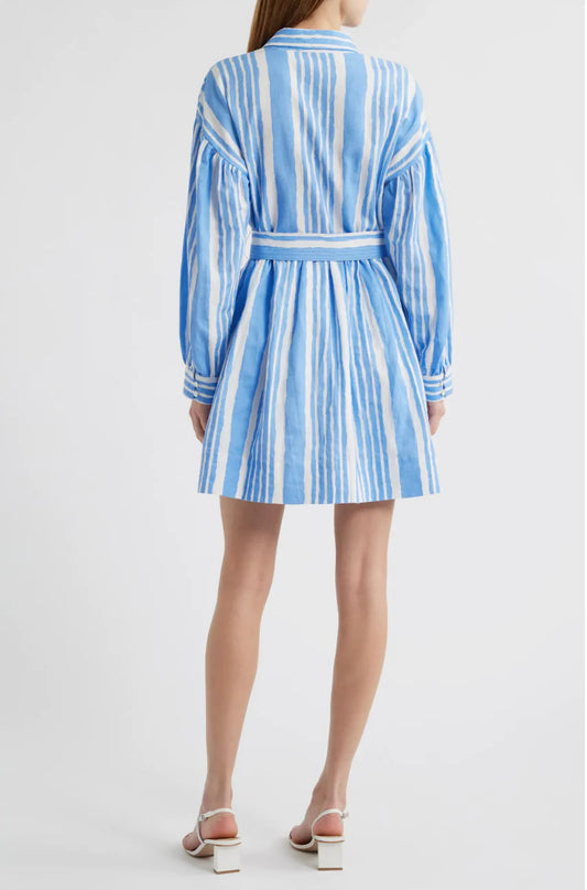 Tiana Mini Dress
