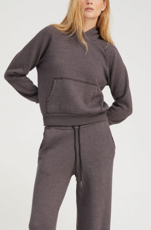 Charcoal Shrunken Hoodie