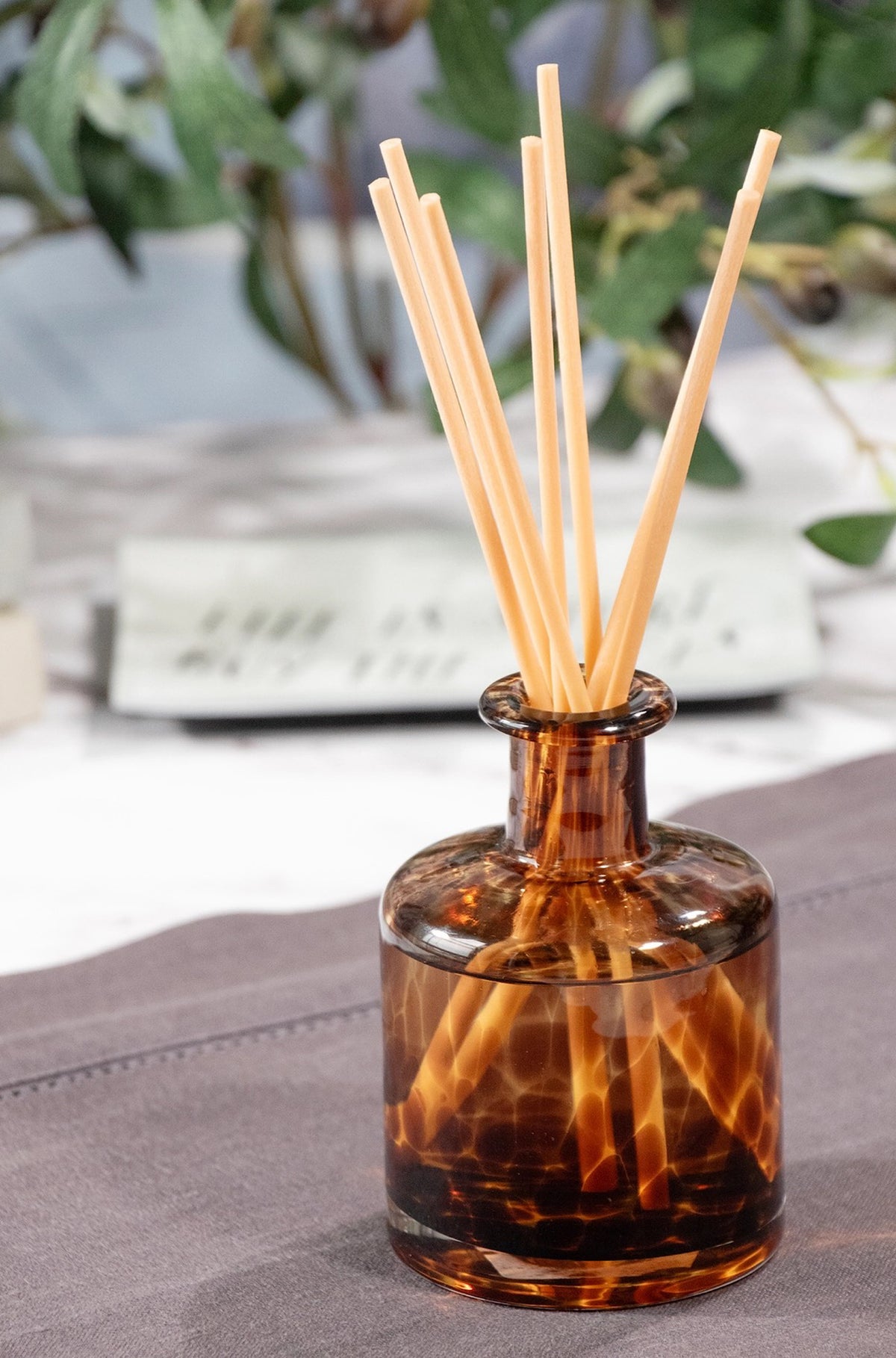 Cassis Vanilla Amber Tortoise Diffuser