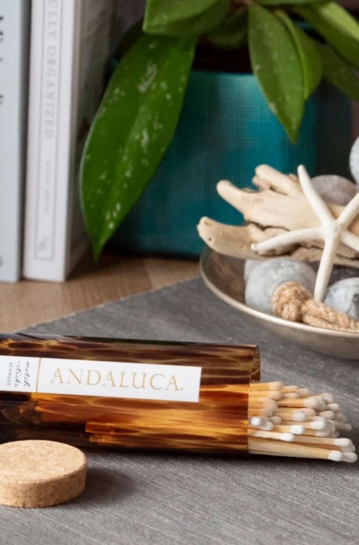 Tortoise Glass Jar with Cork Lid & 60 Wooden Matches